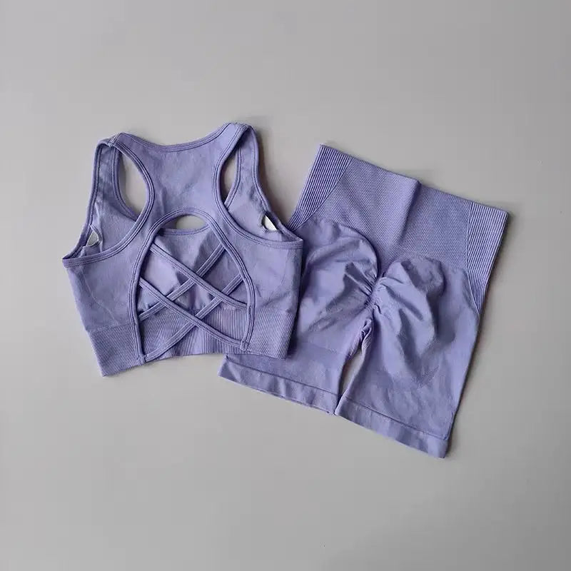 Women’s 2-Piece Seamless Yoga Set – Sport Bra & High-Waist Shorts
