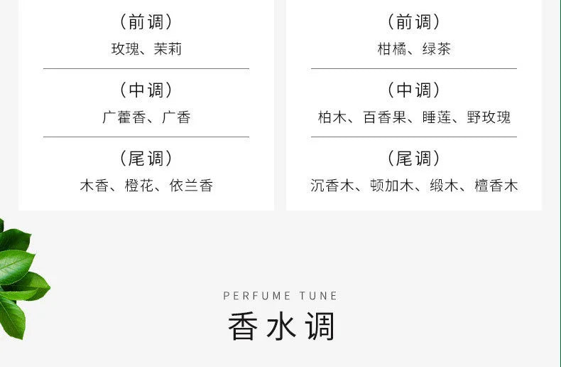 500ml Hotel-Grade Perfume Oil – Aromatherapy Essential Oil for Diffusers