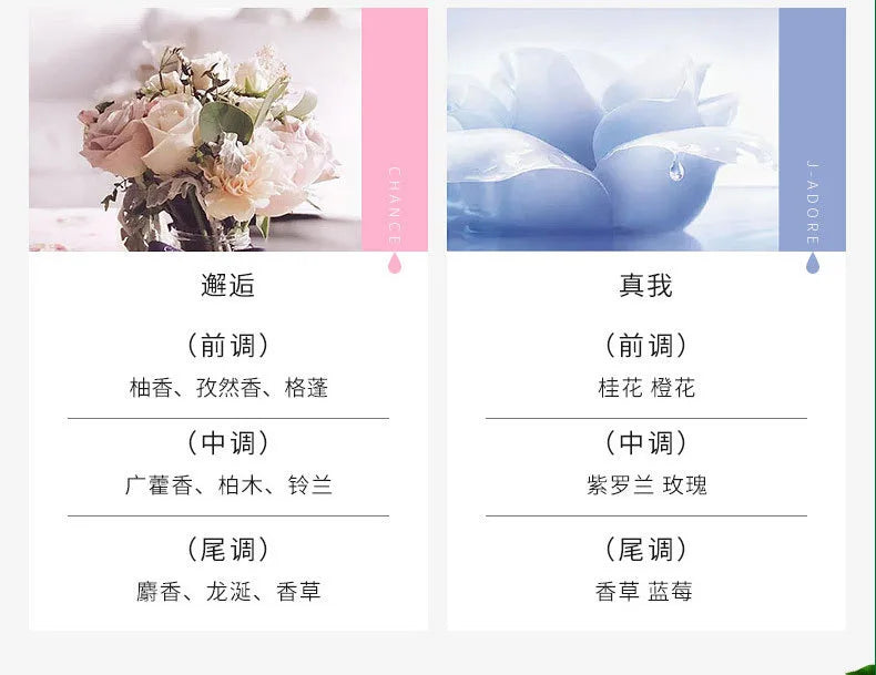 500ml Hotel-Grade Perfume Oil – Aromatherapy Essential Oil for Diffusers