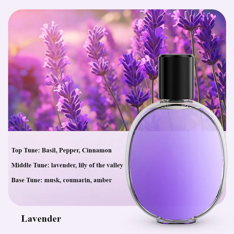 USB Desktop Aromatherapy Diffuser – Household Humidifier & Atomizer