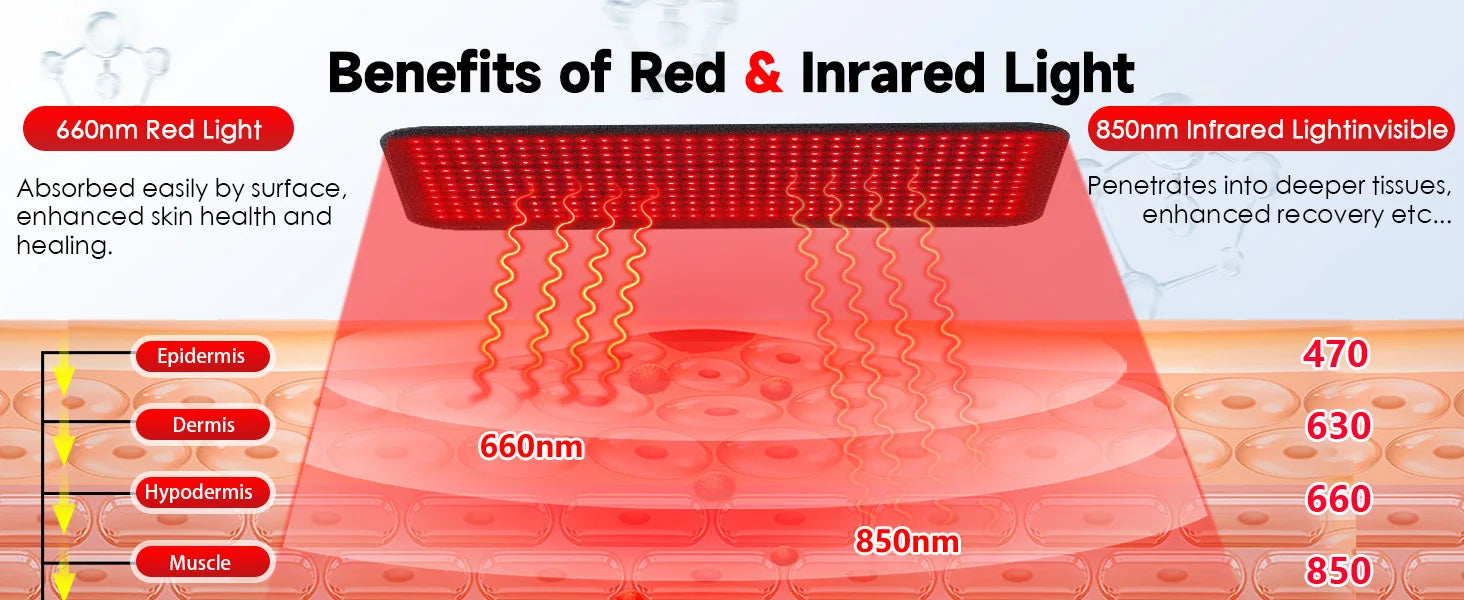 660nm & 850nm Red Light Belt 360 LEDs Near Infrared Photon Wrap for Full Body Pain Relief & Muscle Relaxation