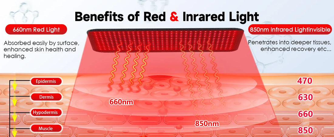 660nm & 850nm Red Light Belt 360 LEDs Near Infrared Photon Wrap for Full Body Pain Relief & Muscle Relaxation